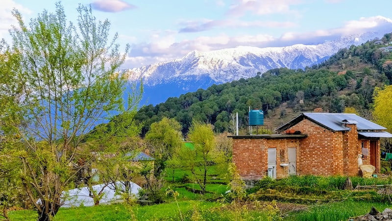 İyi Bir Kariyer ve İş Yaşamı